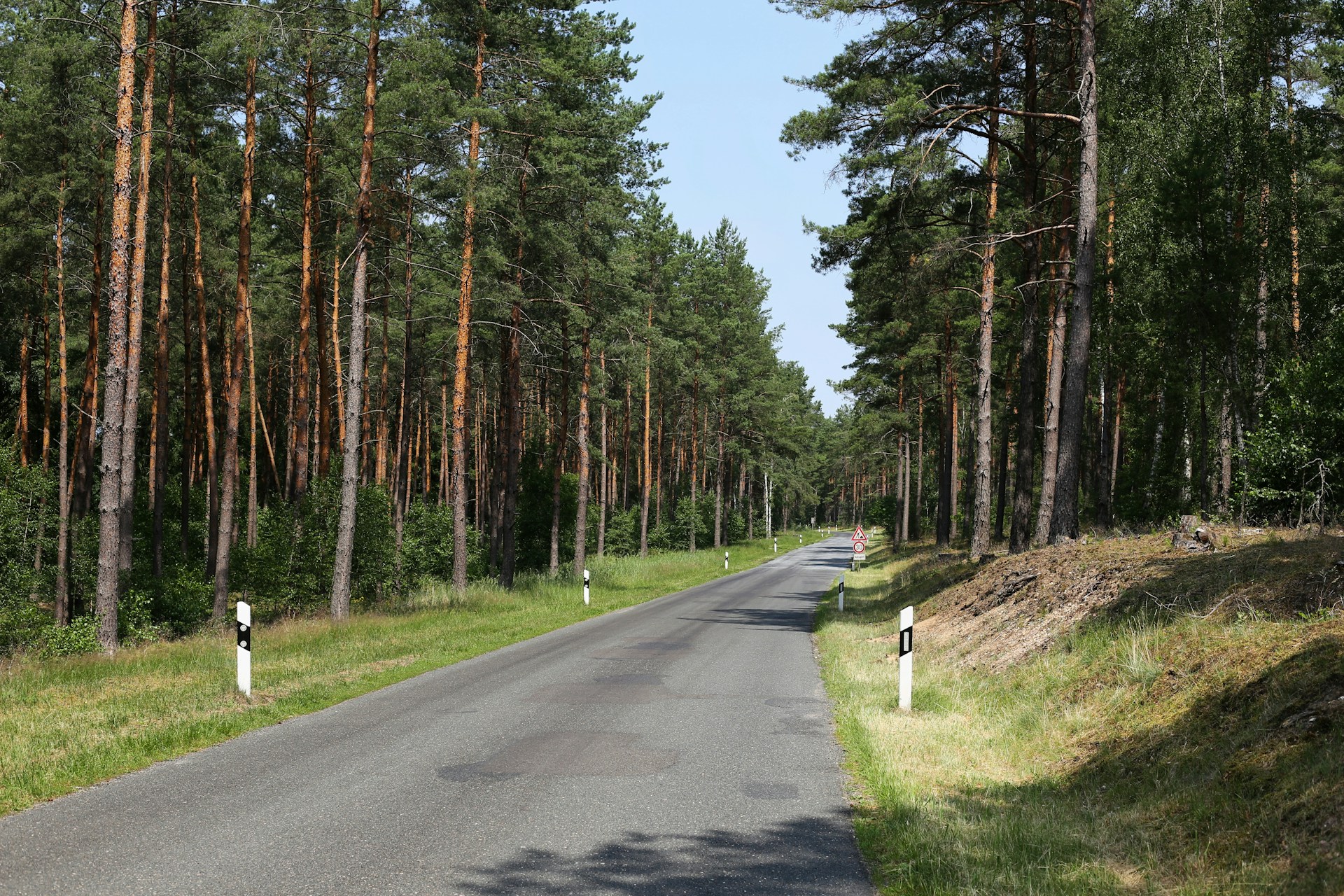 Wald- und Straßenmotiv aus dem Bergischen Land